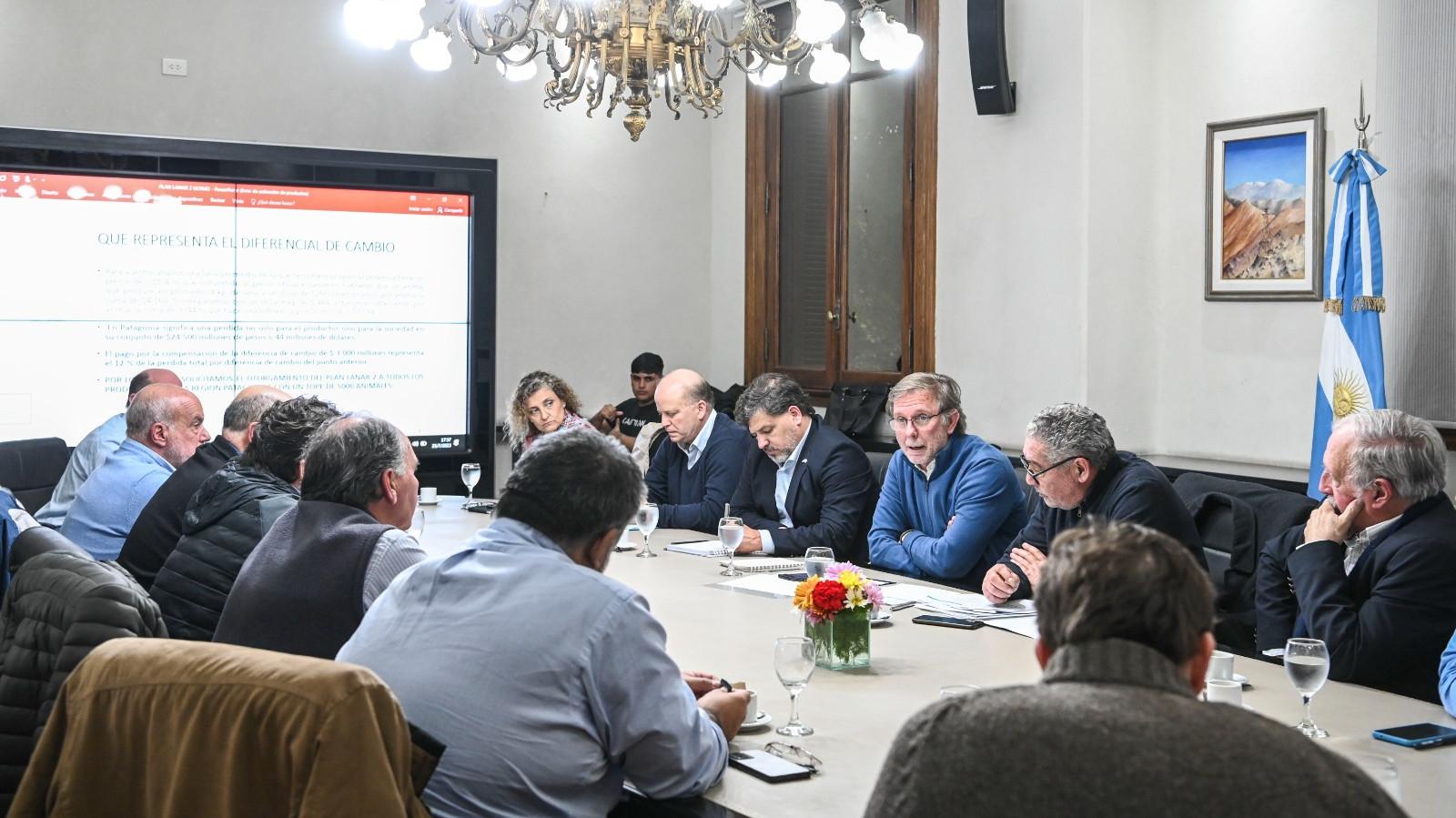 R&iacute;o Negro, junto a otras provincias, busca fortalecer la producci&oacute;n ovina